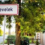 Leveleki Vendeghaz - Egeres Tanya Levelek