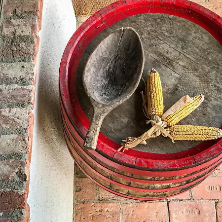 Leveleki Vendeghaz - Egeres Tanya