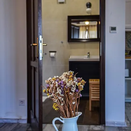 Leveleki Vendeghaz - Egeres Tanya 4*