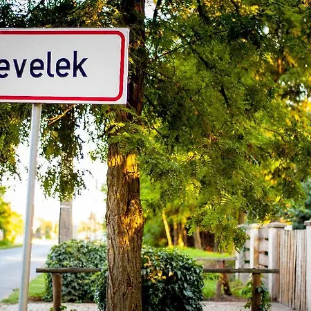 Leveleki Vendeghaz - Egeres Tanya Levelek